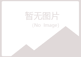 夏河县新波咨询有限公司